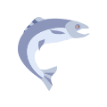 E19